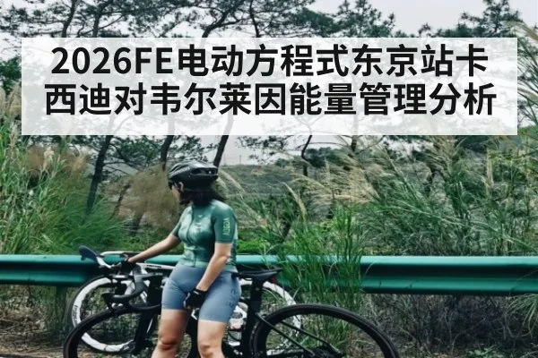 2026FE电动方程式东京站卡西迪对韦尔莱因能量管理分析